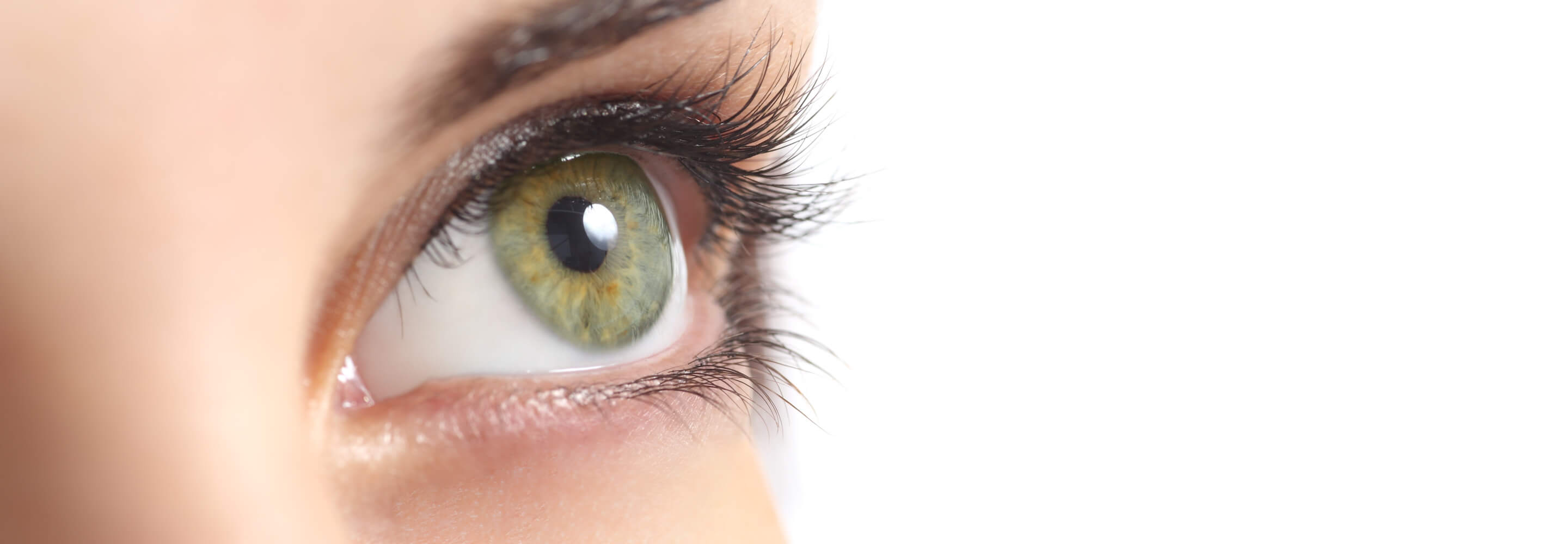 Ralli Ltd: Eye Injury Claims Banner