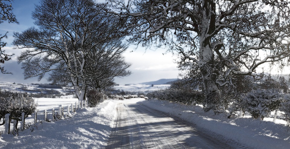 Ralli Ltd: Should we expect another visit from the ‘Beast from the East’?! Banner