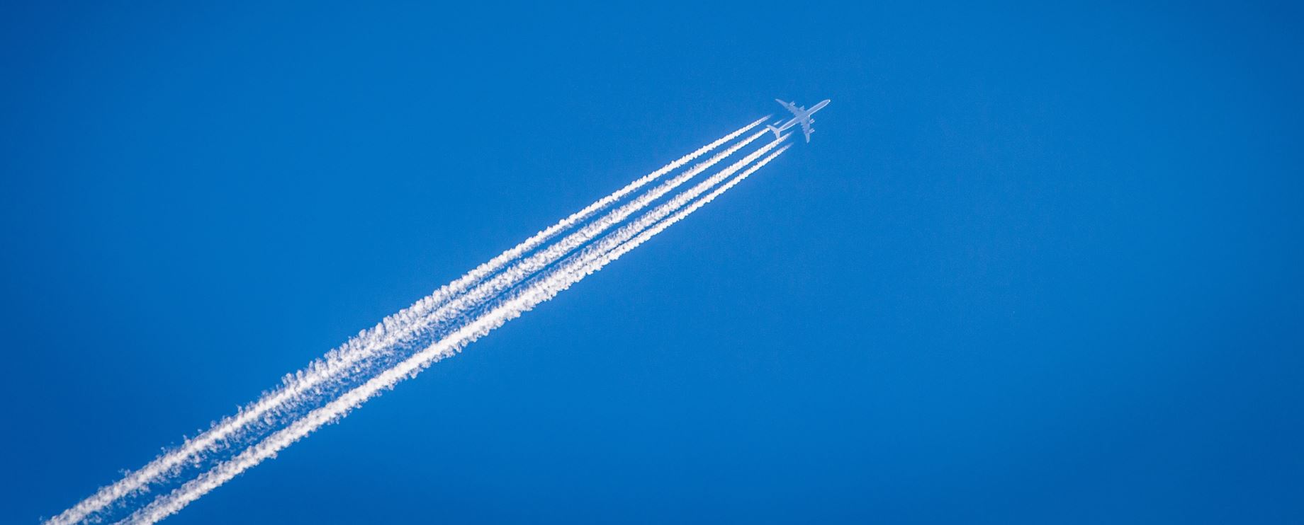 Ralli Ltd: Holidaymaker sues BA for injuries sustained due to sitting next to obese passenger Banner