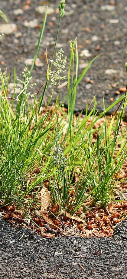 What is needed to pursue a successful claim against a local authority/highway agency for a pot-hole? article preview image